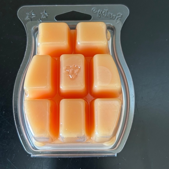 Scentsy Camu Camu Wax Bar. NWT - Picture 2 of 2